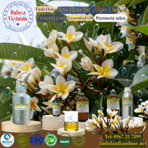 Tinh Dầu Hoa Đại - Hoa Sứ - Frangipani Essential Oil 1 Lít