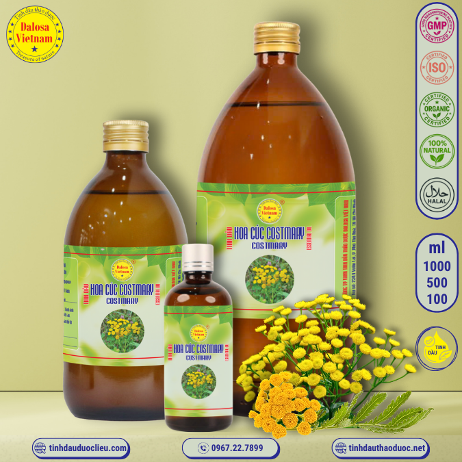 Tinh Dầu Hoa Cúc Costmary - Costmary Essential Oil 1 Lít
