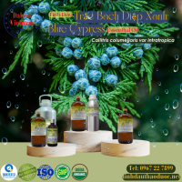 tinh-dau-trac-bach-diep-xanh-blue-cypress-essential-oil-1-lit - ảnh nhỏ  1