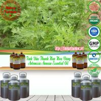 tinh-dau-thanh-hao-hoa-vang-artemisia-annuae-essential-oil-1-lit - ảnh nhỏ 2