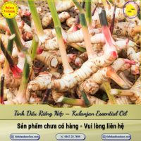 tinh-dau-rieng-nep-kulanjan-essential-oil-1-lit - ảnh nhỏ  1