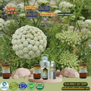 Tinh Dầu Khella - Khella Essential Oil 1 Lít