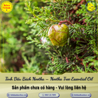 tinh-dau-bach-nootka-nootka-tree-essential-oil-1-lit - ảnh nhỏ  1