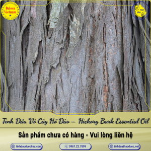 Tinh Dầu Vỏ Cây Hồ Đào - Hickory Bark Essential Oil 1 Lít