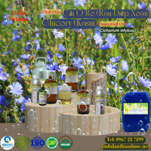 Tinh Dầu Cải Ô Rô - Diếp Xoăn - Chicory Essential Oil 1 Lít