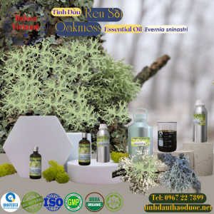 Tinh Dầu Rêu Sồi - Oakmoss Essential Oil  1 Lít