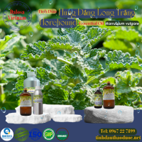 tinhdau-hung-dang-long-trang-horehound-hoarhound-essential-oil-1-lit - ảnh nhỏ  1