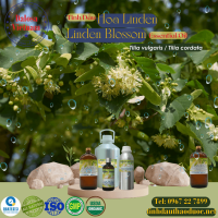 tinh-dau-hoa-linden-linden-blossom-essential-oil-1-lit - ảnh nhỏ  1