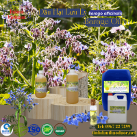 dau-hat-luu-ly-borage-oil-1-lit - ảnh nhỏ  1