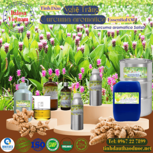 Tinh Dầu Nghệ Trắng Ezhu You Oil 1 Lít