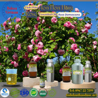 tinh-dau-hoa-hong-rose-essential-oil-1-lit - ảnh nhỏ  1