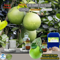 tinh-dau-vo-buoi-grapefruit-essential-oil-1-lit - ảnh nhỏ 2