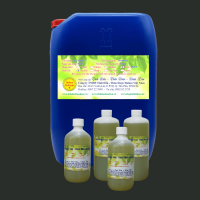 Tình Hình  Sản Xuất và Nhu Cầu Tiêu Thụ Tinh Dầu Sả Java