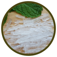 Hoạt chất Menthol và Ứng Dụng của tinh dầu Bạc Hà