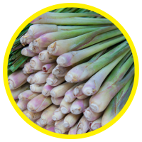 13 Lợi Ích Đáng Ngạc Nhiên Của Tinh Dầu Sả Chanh – Lemongrass