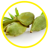 13 Lợi Ích Cho Sức Khỏe Của Tinh Dầu Thảo Quả - Cardamom