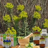 Khuyến Mãi Tháng 12/2018